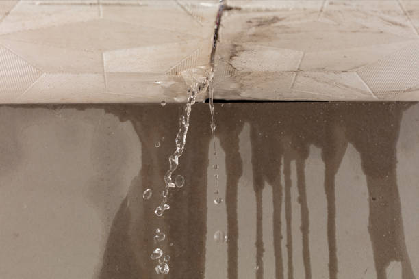 Professional Burst Pipe Cleanup technician working in Eola, IL
